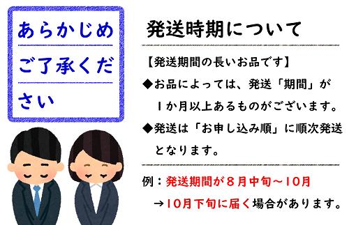【令和6年産先行予約】 ふじりんご 約3kg (6～10玉 秀品) 《令