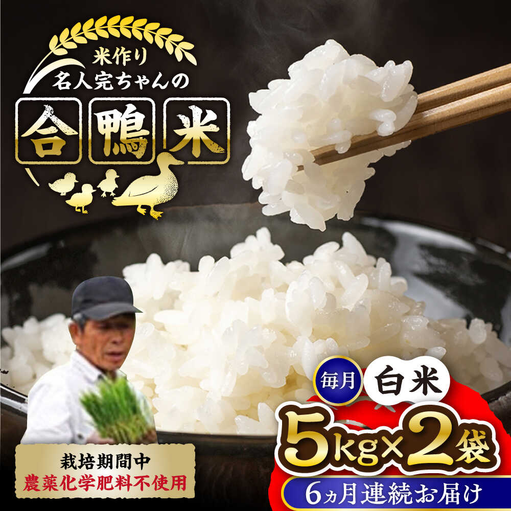 【ふるさと納税】【先行予約】【11月より順次発送】【全6回定期便】令和7年産 米作り名人完ちゃんの合鴨米 白米 10kg 栽培期間中農薬化学肥料不使用 熊本県産 国産 九州産 あいがも 米 お米 こめ コメ ごはん ご飯 国産米 精米 [YCT008]