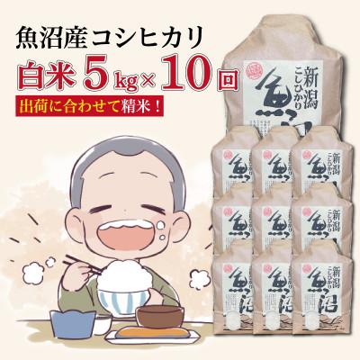 ふるさと納税 十日町市 【毎月定期便】魚沼産コシヒカリ【精米】5kg全10回