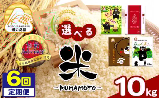 【定期便6回】お米アドバイザーにおまかせ 10kg×6回 | 米 こめ お米 おこめ 白米 精米 定期 定期便 熊本県 玉名市