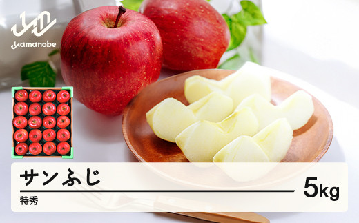 【先行予約】りんご サンふじ 約5kg 特秀品 リンゴ 林檎 令和8年産 2026年産 果物 山形県産 mm-risft5