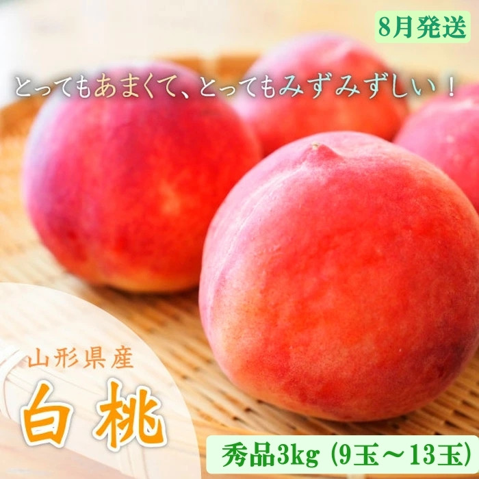 
                  山形市産 白桃 秀品 約3kg [やや硬め] 【令和9年産先行予約】FU23-035 くだもの 果物 フルーツ 山形 山形県 山形市 2027年産
                