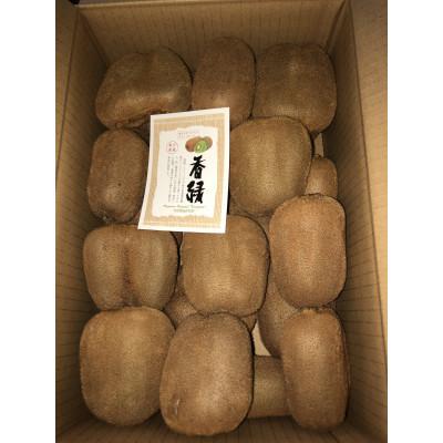 ふるさと納税 東かがわ市 訳あり香緑キウイ　約1.5kg