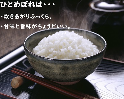 令和4年産 秋田県産ひとめぼれ10kg(5kg×2袋・精米)