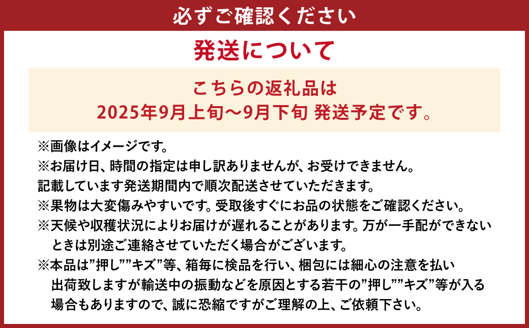 【先行予約】岡山県産 瀬戸ジャイアンツ2房【2025年9月上旬-9月下旬 発送予定】（1房480g以上）約1kg 化粧箱入り【ぶどう 果物 フルーツ 国産 人気 おすすめ 岡山県 倉敷市】