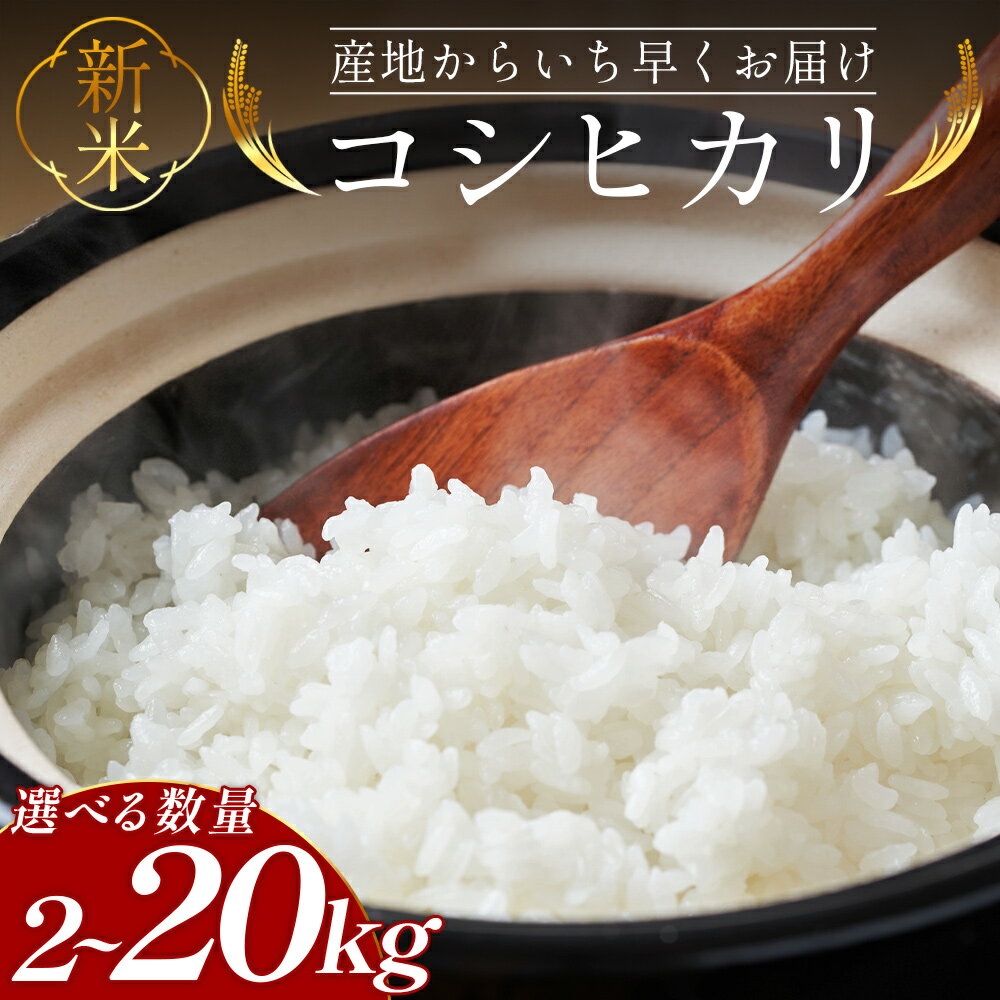 【ふるさと納税】新米 令和7年産 コシヒカリ 2kg/5kg/10kg/20kg - 選べる 内容量 お米 おこめ 国産 米 精米 こしひかり ごはん 白米 ご飯 おにぎり おむすび 防災 非常食 備蓄 高知県 香南市【常温】