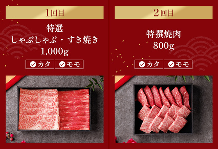 【和牛セレブ】近江牛 定期便「ビジネスクラス」（定期便6回）