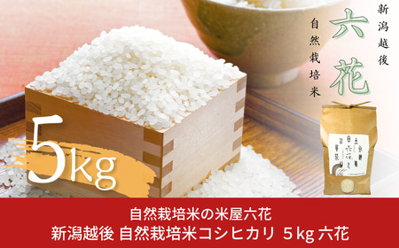 新潟越後 自然栽培米コシヒカリ 5kg 令和7年産米 2025年産米 数量限定 新米こしひかり 有機JAS認証【017S060】