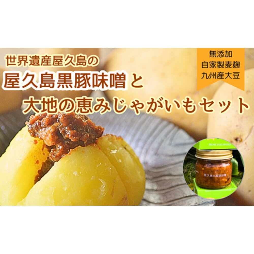 【ふるさと納税】【2026年3月上旬頃から発送】屋久島産黒豚の豚味噌と屋久島産じゃがいもセット5kg＜農薬不使用＞ | 野菜 やさい 食品 人気 おすすめ 送料無料