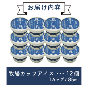 アイスクリーム 12個  自家製牛乳カップアイス