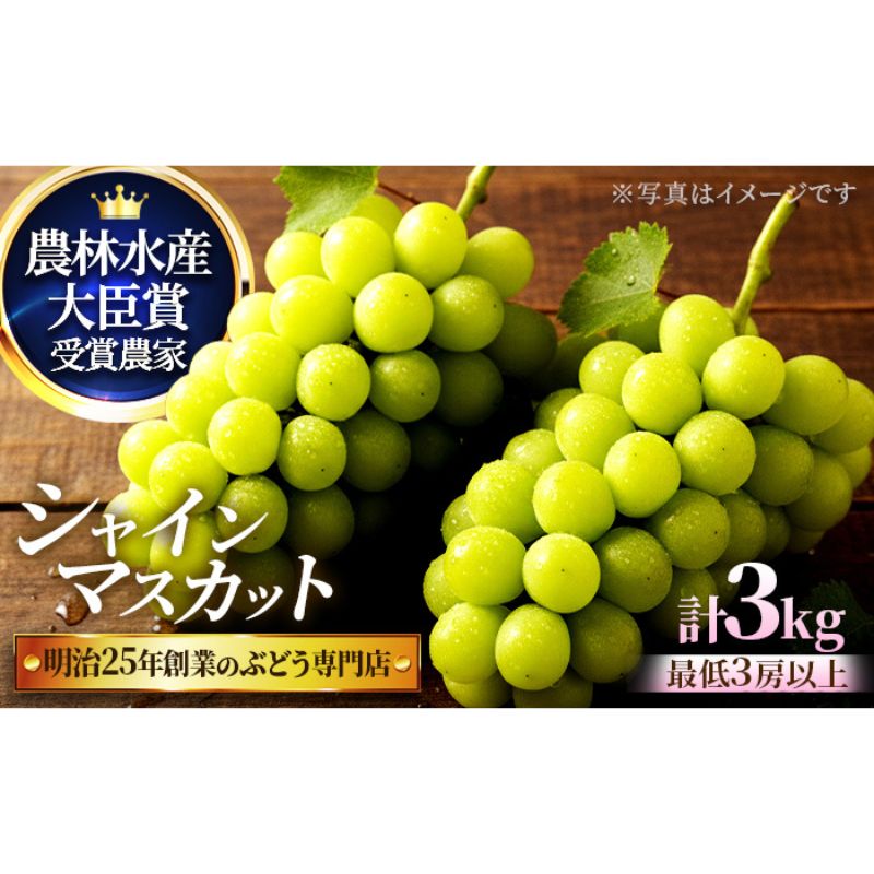 【ふるさと納税】直売所限定販売の数量限定シャインマスカット 3.0サイズ　7月下旬～8月上旬発送　お届け：2026年7月下旬～8月上旬