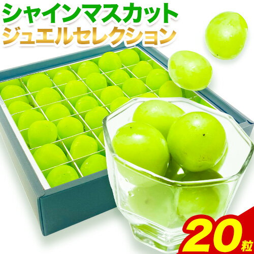 【2026年先行予約】【ふるさと納税】シャインマスカット ジュエルセレクション ぶどう 岡山県産《2026年9月上旬-10月末頃出荷》 ハレノフルーツ マスカット 送料無料 岡山県 浅口市 フルーツ 果物 贈り物 ギフト 国産 岡山県産【配送不可地域あり】