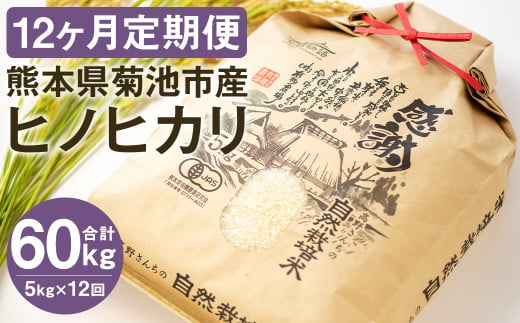 【真空パック】【定期便12ヶ月】七城物語 高野さんちの 自然栽培米 （精米） 5kg （2.5kg×2パック）  合計60kg  お米 米 精米 白米 ヒノヒカリ