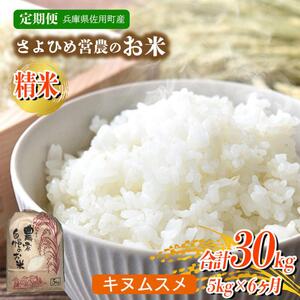 【6ヵ月定期便】兵庫県佐用町産 お米 5kg×6ヵ月 (計30kg) 精米 キヌムスメ