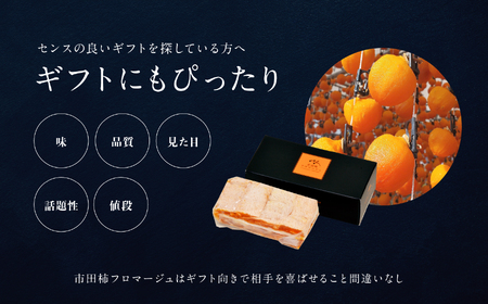 【 ワイン の おつまみ にも オススメ 】 市田柿 フロマージュ 100g × 3個 戸田屋 | 柿 干し柿 干しがき 果物 フルーツ 干柿 おやつ お菓子 ふるさと納税 長野県 飯田市