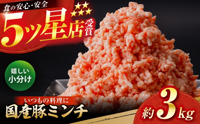 
                  国産　豚ミンチ 約300g×10 総計約3kg / 嬉しい小分け 挽きたて 豚肉 【(有)山重食肉】 [ATAP173]
                