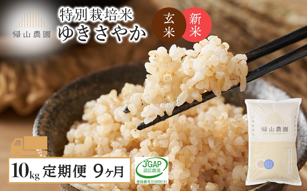 
                  【新米予約】【9カ月定期便】特別栽培米産地直送「玄米ゆきさやか 10kg」《帰山農園》
                