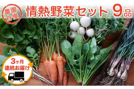 【3ヶ月連続お届け】農園自慢の情熱野菜セット（9品）【野菜 野菜セット おすすめ 詰め合わせ 定期 定期便 野菜詰め合わせ】