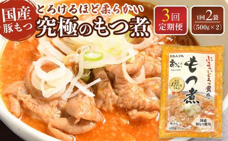 【定期便３カ月】国産豚もつ使用！とろけるほど柔らかい究極のもつ煮  500g×2袋