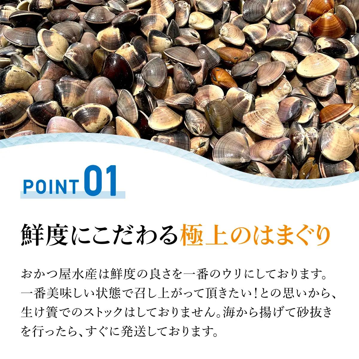 【千葉県ブランド認定】天然特大活はまぐり《1.5㎏》／ふるさと納税 はまぐり ハマグリ 蛤 貝類 魚介 海鮮 お吸い物 パスタ パエリア お歳暮 贈答 お祝い 千葉県 山武市 SMBO003