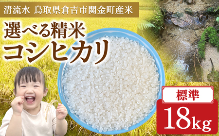 コシヒカリ 18kg（標準） 令和7年産 米 こしひかり 鳥取県 倉吉市産