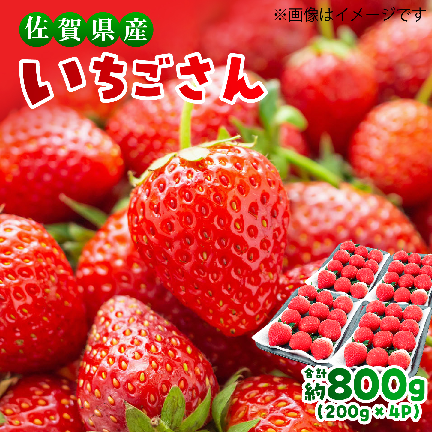 【限定数量】【12月~4月発送】いちごさん 約800g（約200g×4P） 吉野ヶ里町/TZファーム [FDF001]