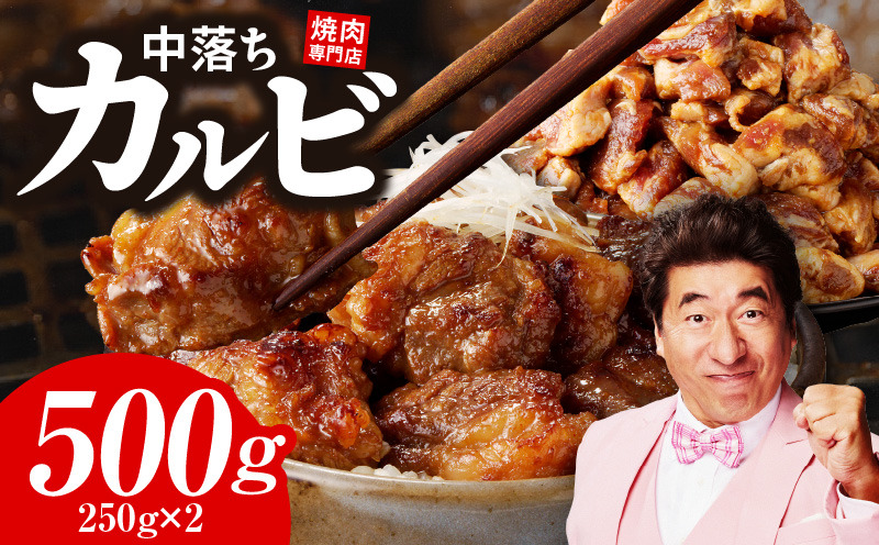 G1599 【スピード発送】焼き肉専門店 自家製タレ漬け 中落ちカルビ 合計500g（250g×2）
