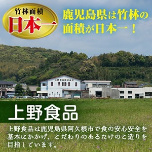 【ふるなび限定】＜訳あり・業務用＞数量限定！1斗缶たけのこ水煮ホール2L(16本～20本) 国産 九州産 鹿児島県産 筍 竹の子 水煮 簡易包装 酢豚 筑前煮 若竹煮 天ぷら チンジャオロース たけの