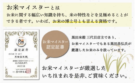 【令和7年産】 いちほまれ 5kg　（5kg × 1袋） 5kg（5kg × 1袋）