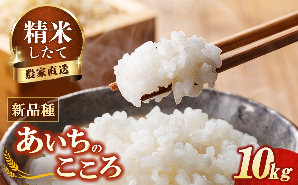【先行予約】新米 令和8年産 あいちのこころ 10kg ※2026年10月～発送