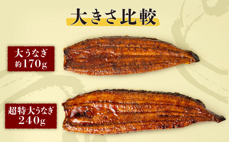 鹿児島産 超特大うなぎ蒲焼240g×1尾　KN021-042-01