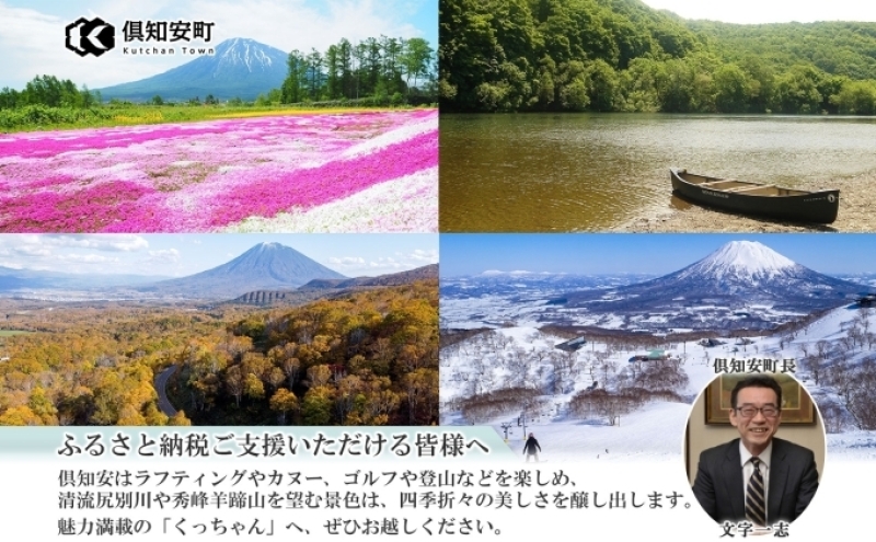 定期便 6ヵ月連続6回 北海道産 ゆめぴりか 無洗米 4kg 米 特A 獲得 白米 ごはん 道産 4キロ 2kg ×2袋 小分け お米 ご飯 米 北海道米 ようてい農業協同組合 ホクレン 送料無料 北海道 倶知安町 ?知安町