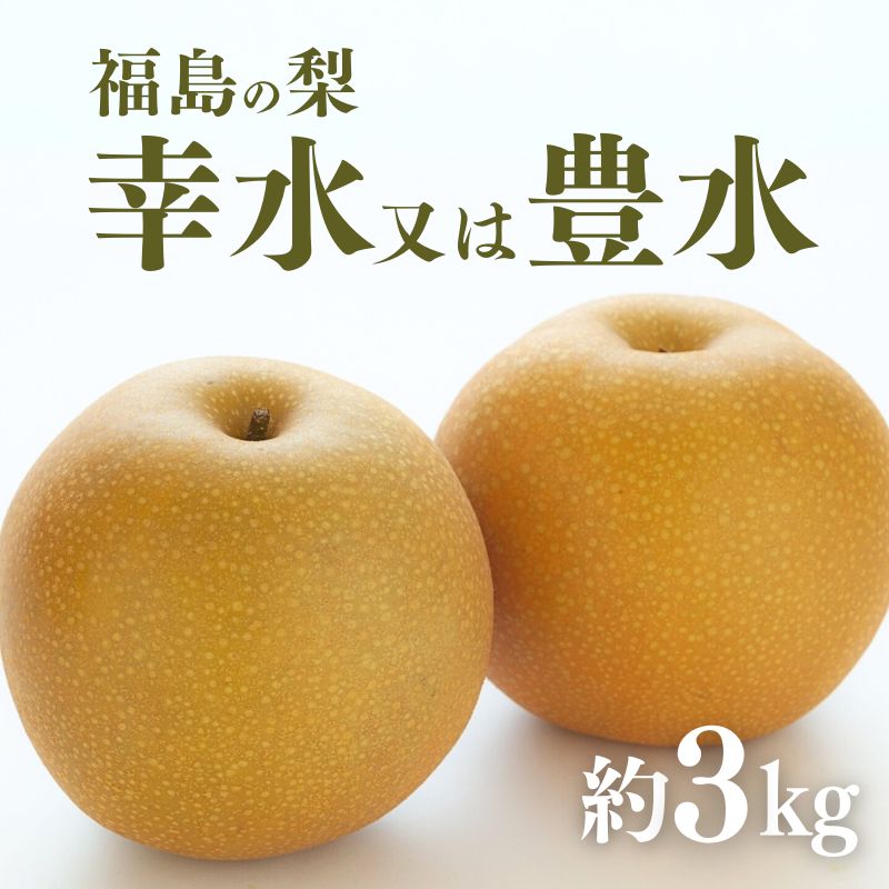 【ふるさと納税】No.2042ふくしまの梨　約3kg（幸水または豊水）《2025年8月下旬から9月下旬発送予定》先行予約 梨 なし ナシ 果物 フルーツ お取り寄せ 福島 先行予約 産地直送 1万円以下