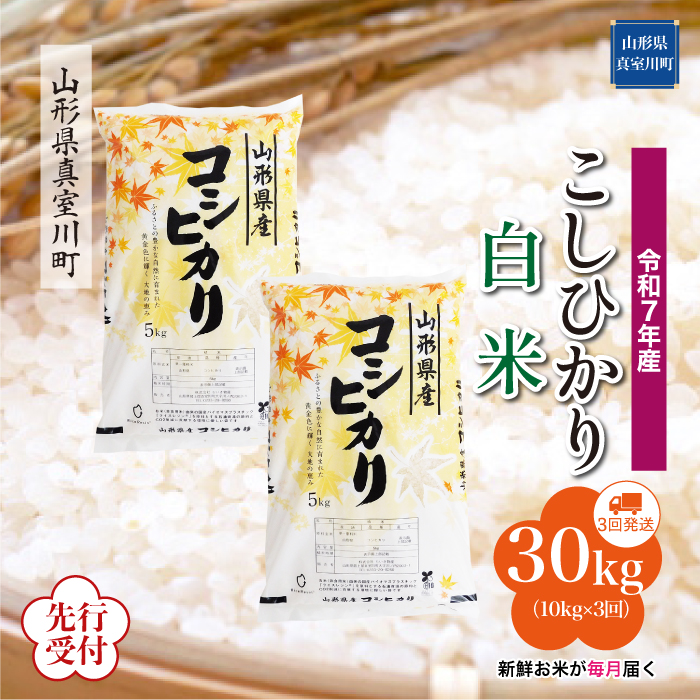 ＜令和7年産米先行受付＞ 真室川町産 こしひかり 【白米】30kg定期便 (10kg×3回)　配送時期指定できます！