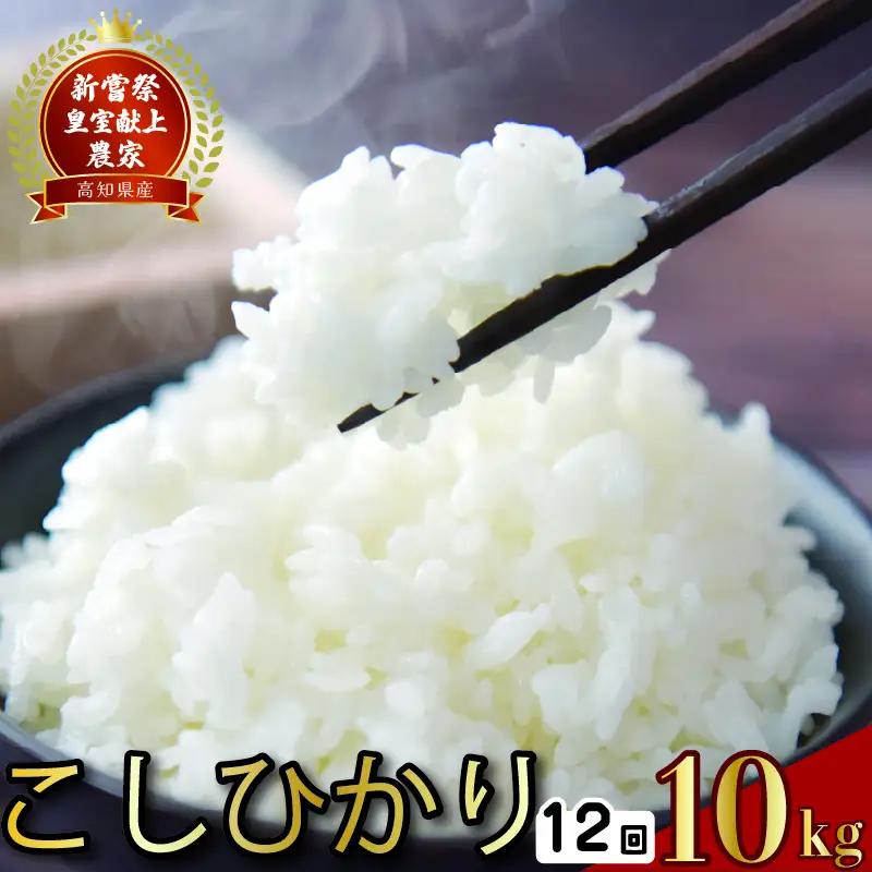 【令和7年産】 米 定期便 10kg×12回 こしひかり 米 AS001