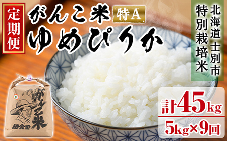 ＜令和8年産 先行予約！＞《定期便・全9回》田舎塾特別栽培米「がんこ米ゆめぴりか」(5kg×9回・計45kg) 【2026年10月中旬以降順次発送】 米 お米 白米 北海道産 北海道米 ゆめぴりか 特A 一等級 ごはん おこめ コメ 単一原料米 定期便 【田舎塾】【F7069】