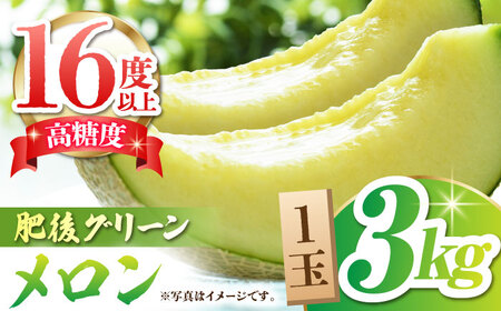 【先行予約】肥後 グリーン メロン 糖度16度以上 1玉 約3kg【岡山農園】グリーンメロン 熊本 国産 [ZBY004]