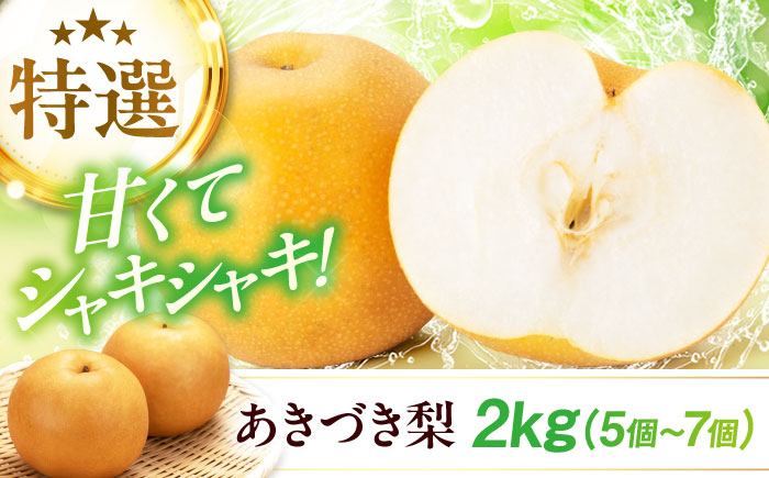 【先行予約】【2025年9月中旬から順次発送】 特選 あきづき 梨2kg（5個から7個入り）愛媛県大洲市/幸野観光なし園  梨 なし ナシ 果物 フルーツ 秋果物[AGBD008]