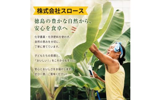 ドライバナナ 1袋 グロスミッチェル種 幻のバナナ 野菜 果物 ドライフルーツ スイーツ 甘い  徳島県産  国産バナナ バナナ 産地直送 送料無料 