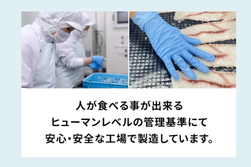 UMINO PET サメ軟骨スティック 40g×5個 [石渡商店 宮城県 気仙沼市 20563958] ペットフード ドッグフード 犬 いぬ 犬用 ペット おやつ オヤツ 国産 気仙沼産 サメ 鮫 軟
