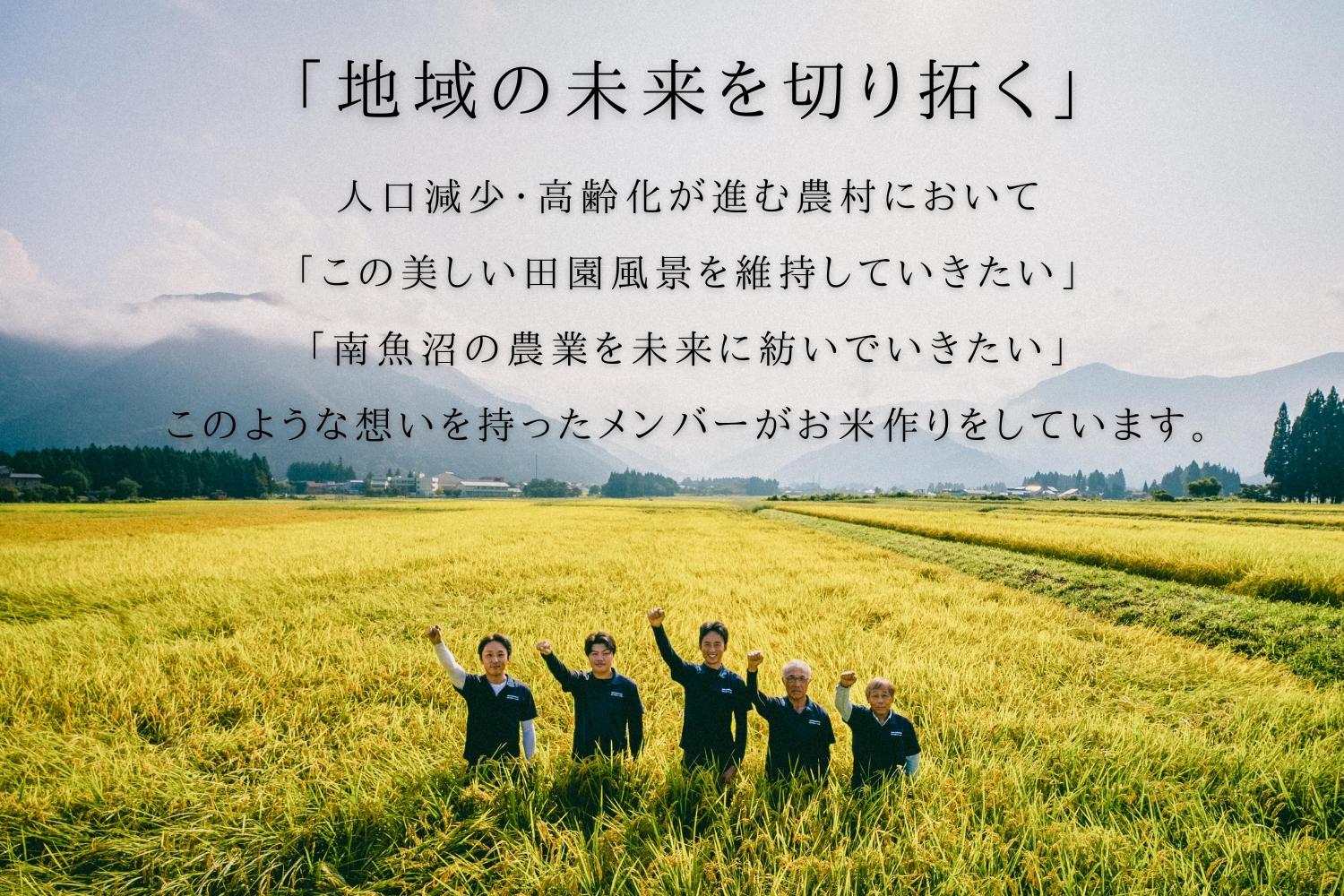 【令和6年産新米予約】南魚沼産新之助 白米5kg きらめく大粒！ ひらくの里ファーム