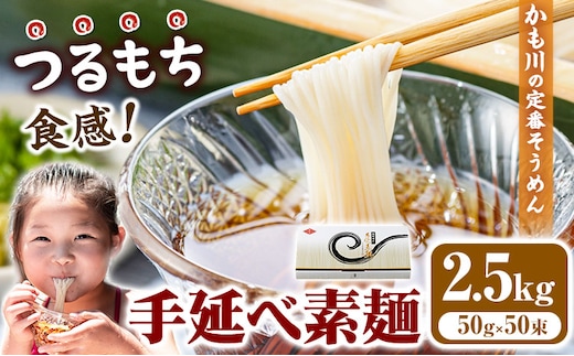 
										
										素麺 ソーメン お徳用手延べ素麺 50g × 50束 2.5kg かも川手延素麺株式会社《30日以内に発送予定(土日祝除く)》岡山県 浅口市 紙箱入 お土産 ご家庭用 送料無料---124_14_30d_23_20000_50---
									