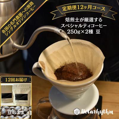 ふるさと納税 南房総市 【毎月定期便】スペシャルティコーヒー豆 焙煎士セレクト250g×2種【豆のまま】全12回