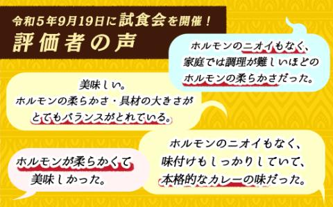 優しい味わいのホルモンカレー 200g×4個 昆布ダシ入り レトルトカレー 常温 保存