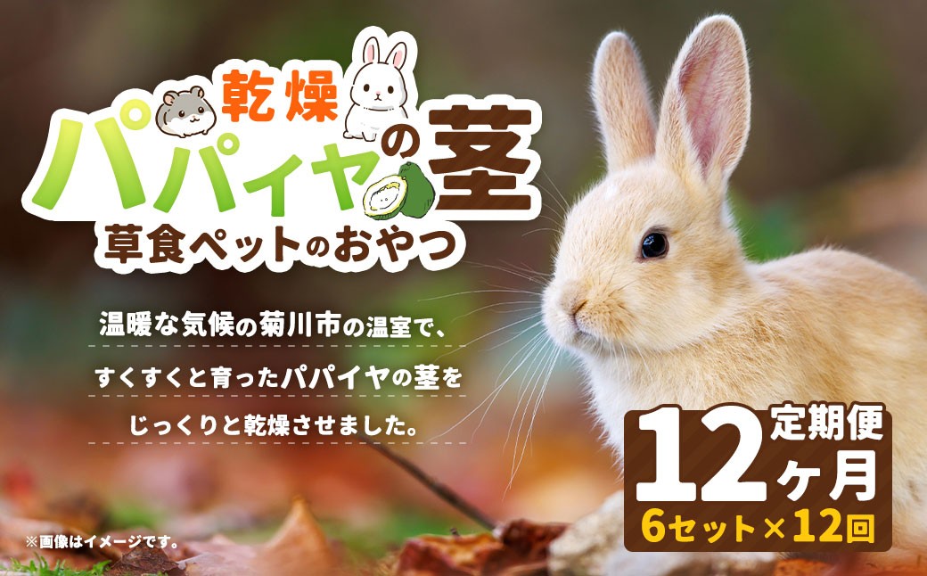 
                  【12ヶ月定期便】乾燥パパイヤの茎 50g（約20本～30本）×6セット（うさぎ等､草食の小動物のおやつ） ペット うさぎ ウサギ ハムスター モルモット チンチラ 小動物 草食動物 おやつ 無添加 無着色 パパイヤ 茎 乾燥 国産 静岡県 菊川市
                