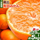 【ふるさと納税】《レビューキャンペーン》＜先行予約＞ご家庭用　蔵出みかん2.5kg 4kg 5kg【有田の蔵出しみかん】【光センサー選果】池田鹿蔵農園@日高町(池田農園株式会社)《1月中旬-2月末頃出荷》和歌山県 日高町【配送不可地域あり】