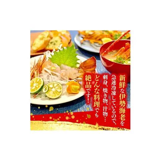 【 伊勢海老 】 伊勢海老700g以上