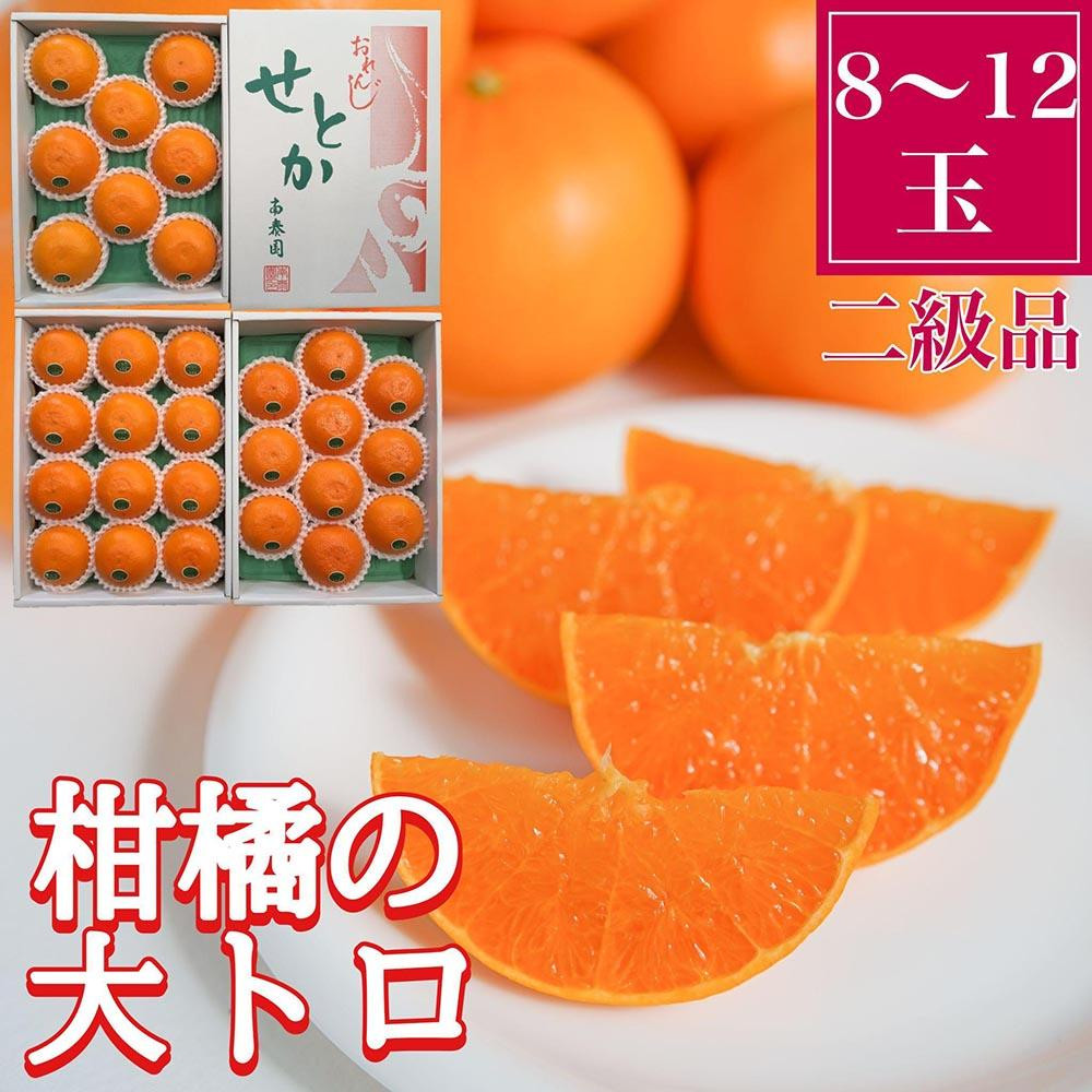 
ちょっと 傷あり 柑橘の大トロ ハウス せとか 8 ～ 12玉入 化粧箱 南泰園【2024年2月上旬～発送】
