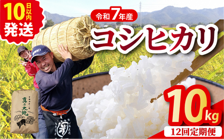 【12回定期便】令和8年産 コシヒカリ 10kg  定期便 精米 白米