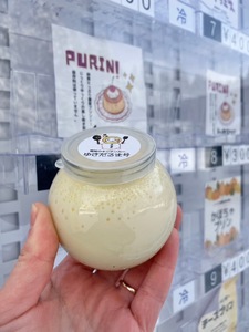 人気の雪国くちどけなめらか極上プリン ６個入[M13701]